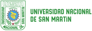 Universidad Nacional de San Martín — UNSM